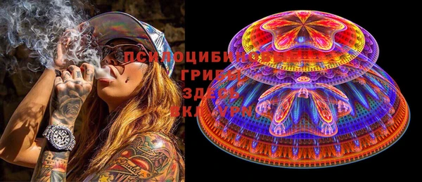 стаф Заводоуковск