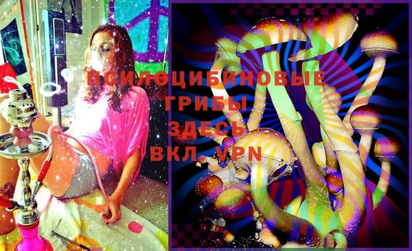эйфоретик Зеленодольск