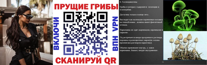 Купить закладки  Знаменск  Псилоцибиновые грибы мухоморы 